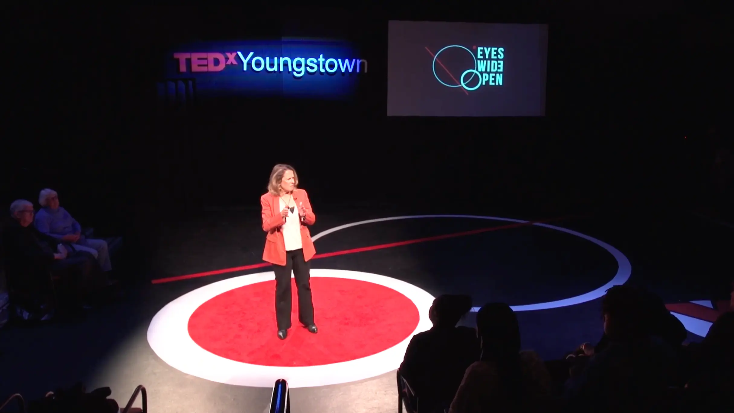 Cathy Sommerville speaking at TEDx